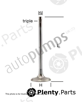 Autopumps UK AEV5428 — Exhaust Valve
