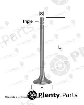Autopumps UK AEV11056 — Exhaust Valve