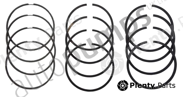 Autopumps UK A6300 — Piston Ring Kit