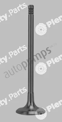 Autopumps UK AIV9603 — Intake Valve