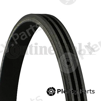 Continental Ctam In 3PK815 — V-Ribbed Belt