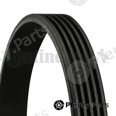 Continental Ctam In 5PK1165 — V-Ribbed Belt