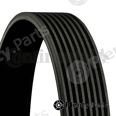 Continental Ctam In 8PK2044 — V-Ribbed Belt