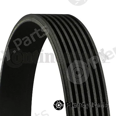 Continental Ctam In 7PK1165 — V-Ribbed Belt