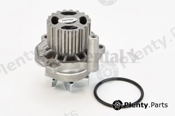 Continental Ctam In WP6006 — Water Pump, engine cooling