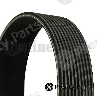 Continental Ctam In 10PK2475 — V-Ribbed Belt
