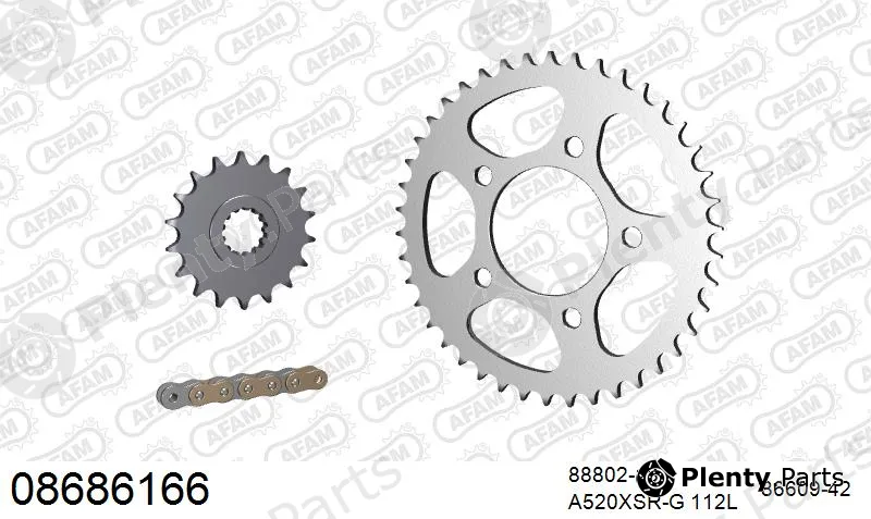 Afam 08686166 — Chain Set