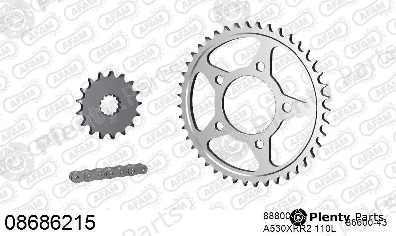 Afam 08686215 — Chain Set