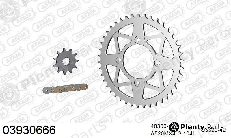 Afam 03930666 — Chain Set