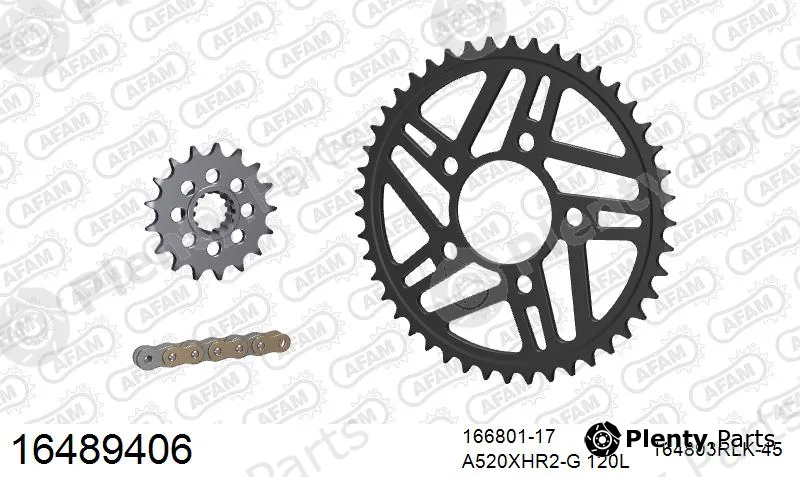 Afam 16489406 — Chain Set
