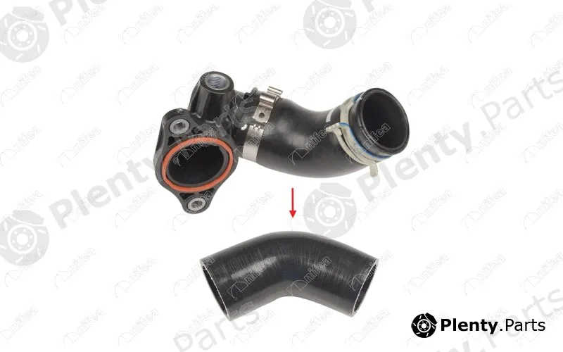 Nifea 11001 — Pipe, EGR valve