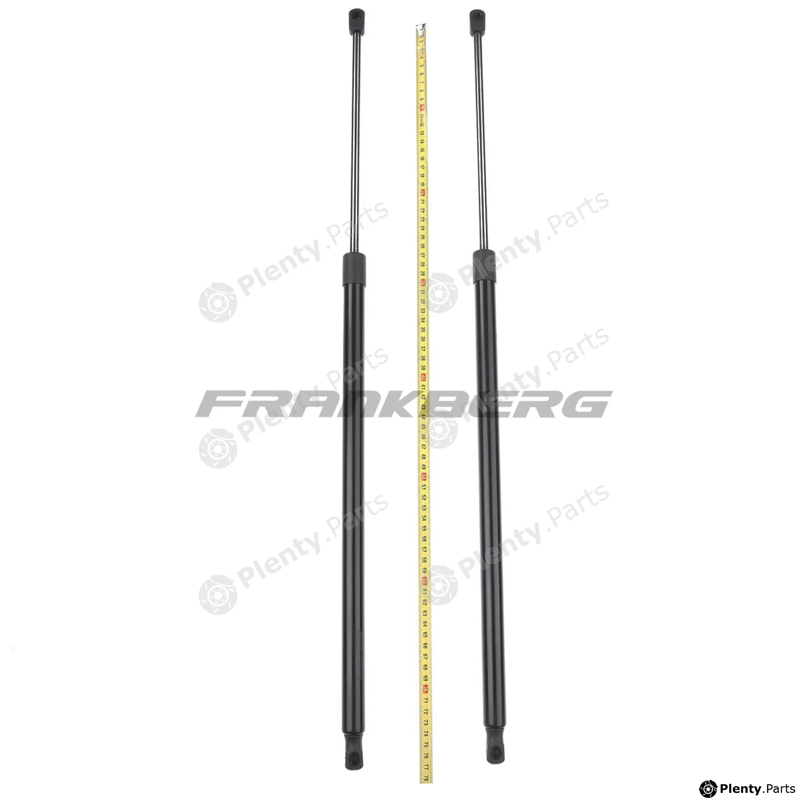 Frankberg 5481FB0013894 — Gas Spring, boot/cargo area