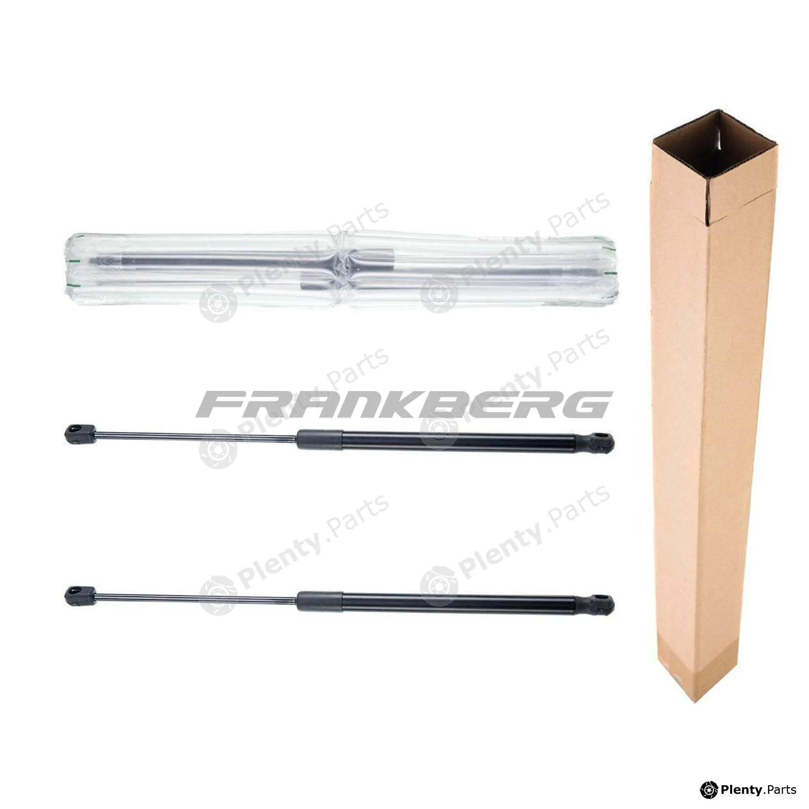 Frankberg 5481FB0013569 — Gas Spring, boot/cargo area