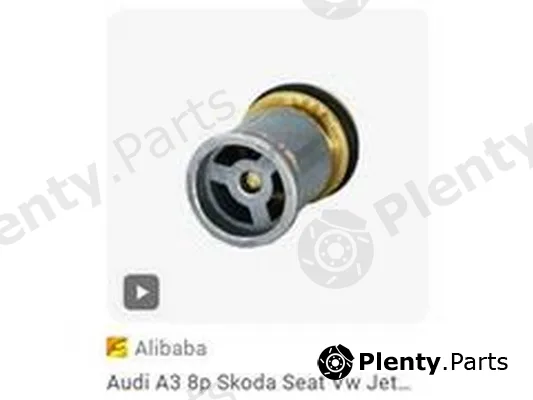 ZPY 06H103175B — Non-Return Valve