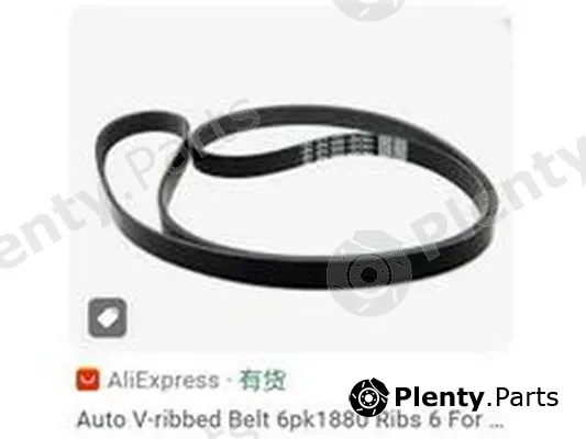 ZPY 6PK1880 — V-Ribbed Belt