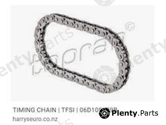 ZPY 06D109229B — Timing Chain