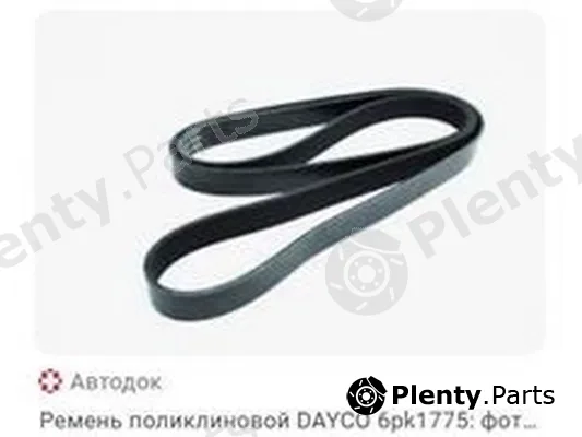 ZPY 6PK1775 — Timing Belt