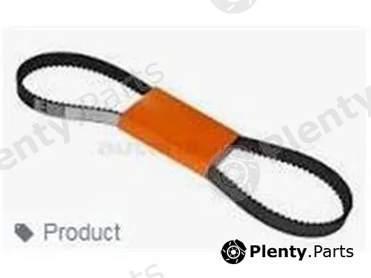 ZPY 06A109119C — Timing Belt