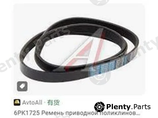 ZPY 6PK1725 — V-Ribbed Belt