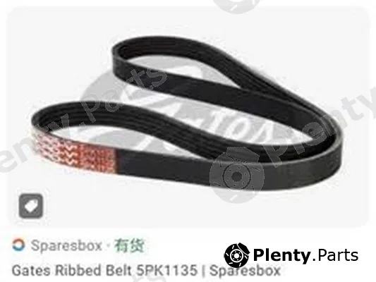ZPY 5PK1135 — V-Ribbed Belt
