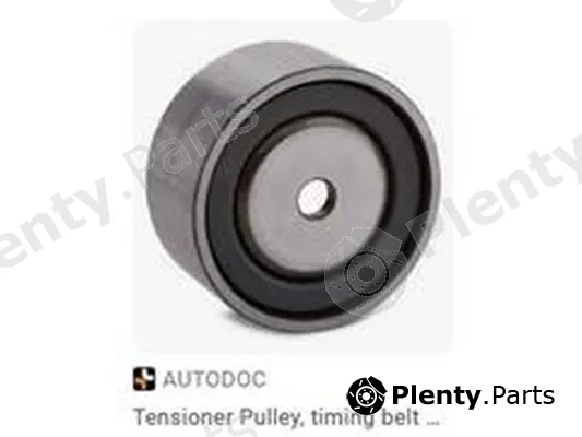ZPY 078109244 — Timing Belt Kit