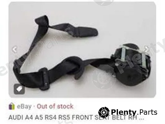 ZPY 8WD857706V04 — Safety Belt