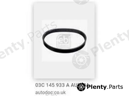 ZPY 03C145933A — Tensioner Lever, V-ribbed belt