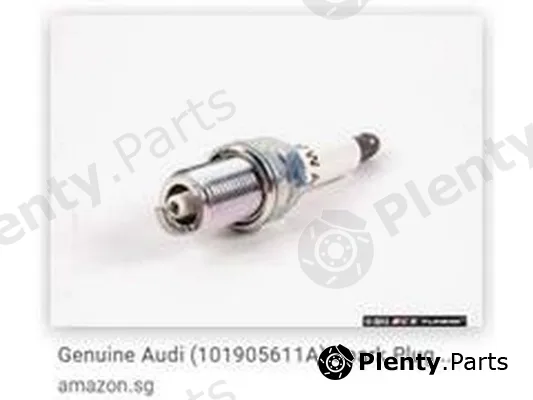 ZPY 101905611A — Spark Plug