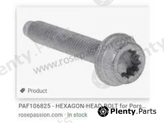 ZPY PAF106825 — Screw Plug, Lambda sensor mount