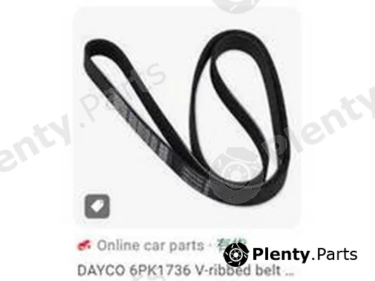 ZPY 6PK17366 — Timing Belt