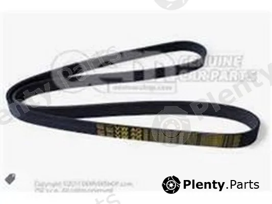 ZPY 03L903137AC — V-Ribbed Belt