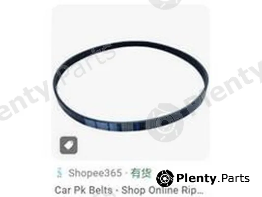 ZPY 6PK1117 — Timing Belt