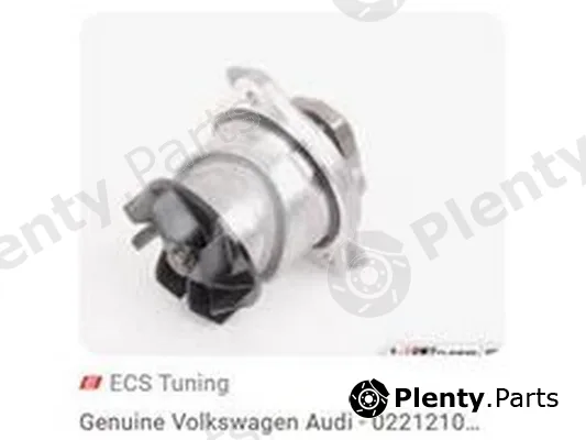 ZPY 022121011 — Water Pump, engine cooling