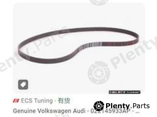 ZPY 022145933AP — V-Ribbed Belt