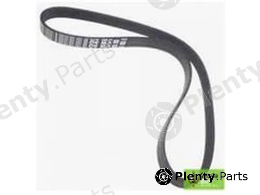 ZPY 04E145933AL — V-Ribbed Belt