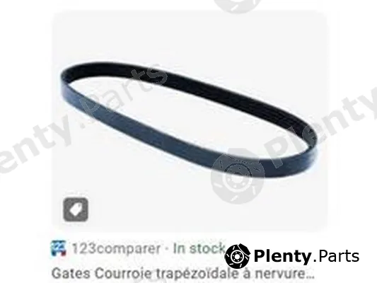 ZPY 7PK2365 — Timing Belt