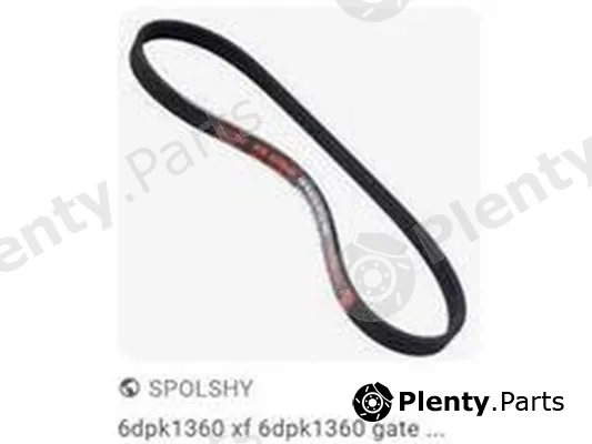 ZPY 6DPK1360 — Timing Belt