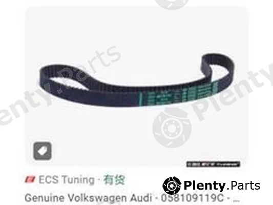 ZPY 058109119C — Timing Belt