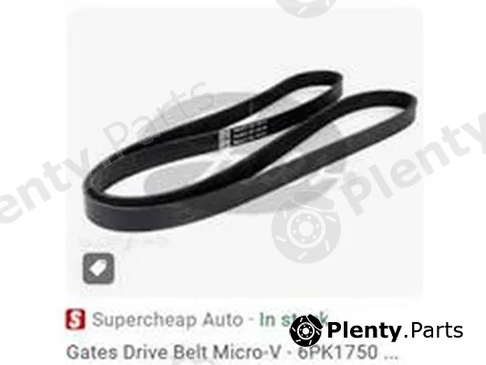 ZPY 6PK1750 — V-Ribbed Belt