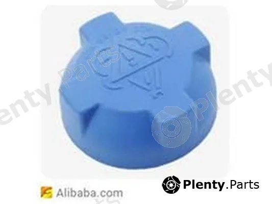 ZPY 171121321D — Expansion Tank, coolant