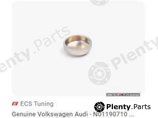 ZPY N0119077 — Frost Plug