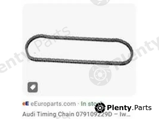 ZPY 079109229D — Chain, oil pump drive