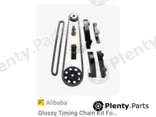 ZPY 03H109465 — Timing Chain