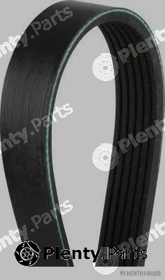 Herth+Buss Jakoparts J1061590 — V-Ribbed Belt