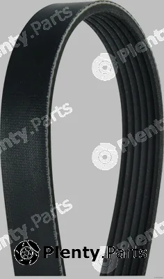 Herth+Buss Jakoparts J1060975 — V-Ribbed Belt