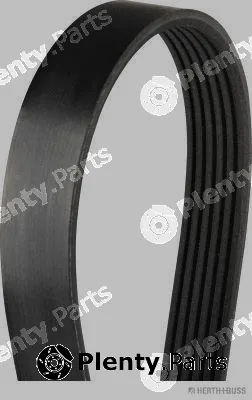 Herth+Buss Jakoparts J1060890 — V-Ribbed Belt