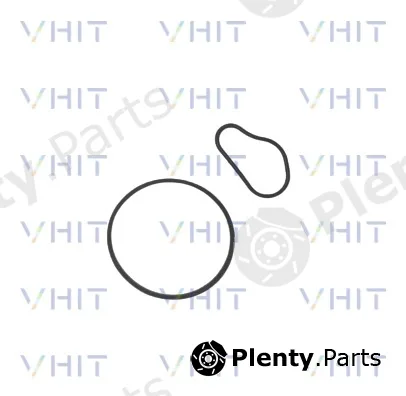 Vhit F009D00783 — Seal Set, vacuum pump