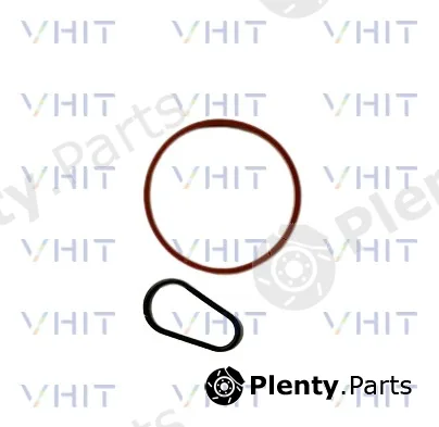 Vhit F009D02040 — Seal Set, vacuum pump