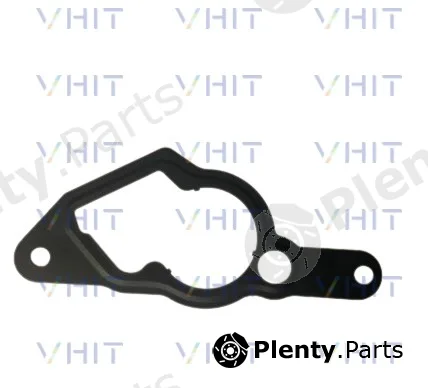 Vhit F009D03117 — Gasket, vacuum pump