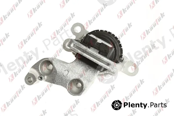Kautek NI-EM021 — Mounting, engine